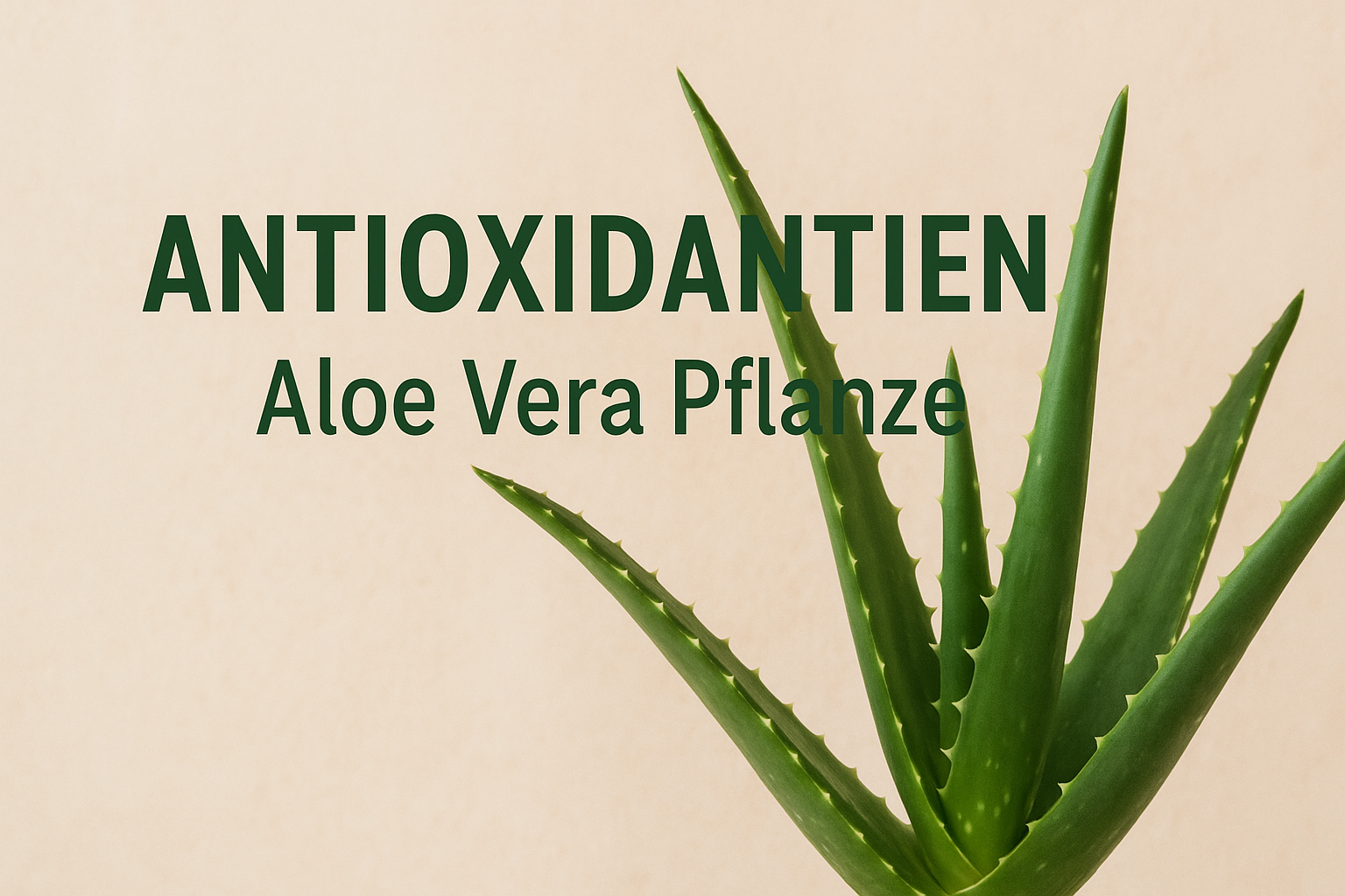 antioxidantien